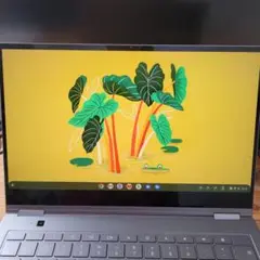 SAMSUNG Galaxy Chromebook Mercury Gray