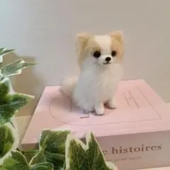 羊毛フェルト　犬　チワワ