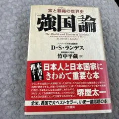 「強国」論