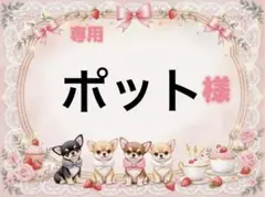 専用