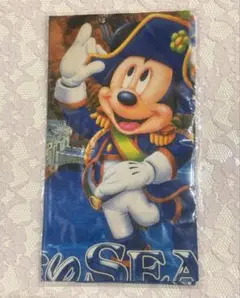 廃盤貴重品　TDR公式　ハンカチーフ　ミッキー&ミニー