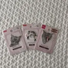 【新品未開封】猫柄ワッペン 3個セット