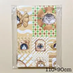 【コヤンイサムチョン】パターン パン猫-Q 90cm(正規品&未開封)