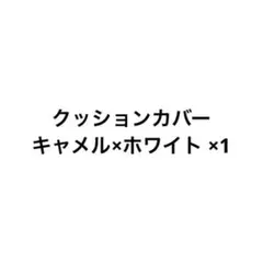 専用