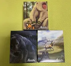 アニマルカードゲーム　キメラサイクル　構築済み　3種