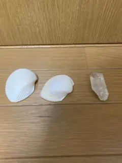 白い貝殻と水晶の3点セット