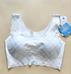 Item thumbnail for item 1af094a1-f004-44f0-9d44-e02c711fc984
