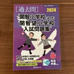 2025年最新】開智望の人気アイテム - メルカリ