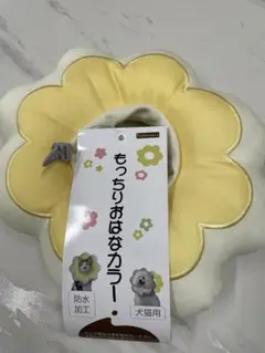 Item thumbnail for item 40cd1d10-3383-4d3e-afce-5b4dfa357b7b