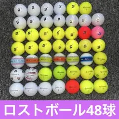 ロストボール　カラーボール48球