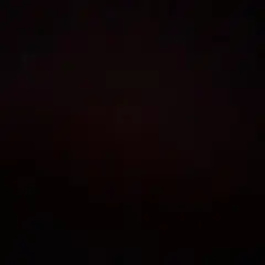 専用