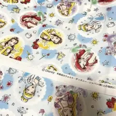 ディズニープリンセス　生地　ハギレ　プリンセス