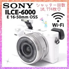 Item thumbnail for item 04fa79f5-8799-47c9-8810-e1b2c90214b1