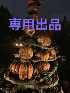 gou様専用