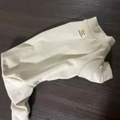 Item thumbnail for item 30a48574-7ce5-47fc-ad4f-16125b00cd37