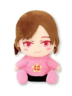 あみか　ぬいぐるみ 「Team48」 モーリーファンタジー・PALO限定