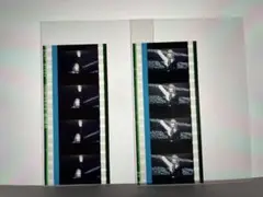 カミュコマフィルム 2枚セット