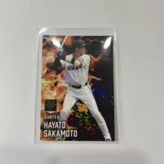坂本勇人　プロ野球チップス　スターカード