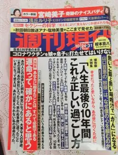 週刊現代 2020年10月24.31日号 宮崎美子 塩地美澄 榎本喜八 中古