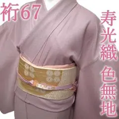 色無地 着物 袷 寿光織 地紋 淡ピンクパープル 裄67 L 中古 sn420