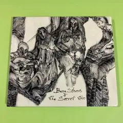 Becca Stevens & The Secret Trio CD