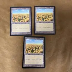 MTG 平地　APACランド　ひまわり　4枚セット Amazon.co.jp: MTG APAC ランド ひまわり 平地① Plains Ron