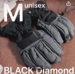 超美品! Black Diamond グリセード/紛失防止自作リーシュ付き