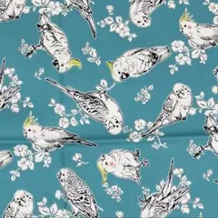インコとオウムと花柄の生地 水色
