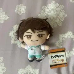 及川徹【ハイキュー!!】みにコレ！ぬいぐるみマスコット