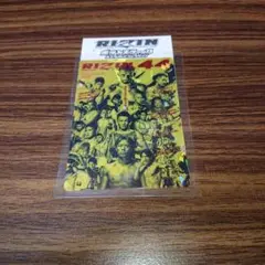 Item thumbnail for item a66ba863-89f2-4e92-86ed-3cb9d9d9fab5