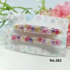 【No.262】ドライフラワー ヘアクリップ 2本セット (レジン)