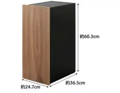 山崎実業 ゲーム機収納ラック tower ブラック