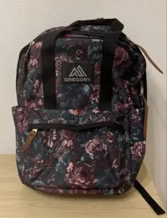 【美品】GREGORY リュック　イージーピージーデイ