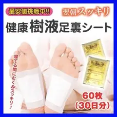 Item thumbnail for item 4ce82965-508b-4df4-aca3-a2c6f7544c61