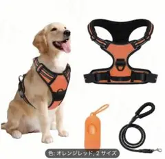Item thumbnail for item 2545d939-513d-4cc9-9dcb-6141b34e240f