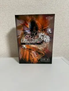 ダヴィンチ脳 能力開発プログラム DVD 3巻セット 2025年最新】苫米地 ダヴィンチ脳の人気アイテム - メルカリ
