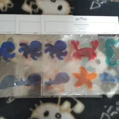 ウィンドウステッカー 海の生き物 21x15cm　まとめ売り