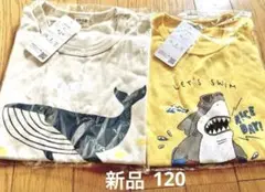 新品　120 半袖　Tシャツ　2枚セット