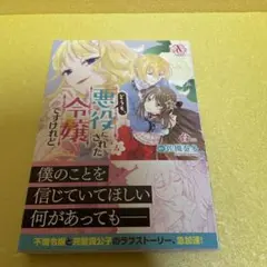 どうも、悪役にされた令嬢ですけれど　４巻