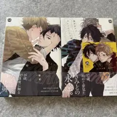 【美品】キューピッドに落雷 全2巻