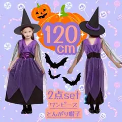 魔法使い コスプレ 120cm 2点 ワンピース 帽子 ハロウィン パープル