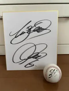 中田翔 直筆サイン色紙 ボール セット 中日ドラゴンズ 日本ハムファイターズ