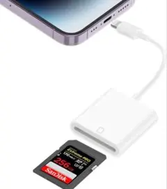 Item thumbnail for item 11a2271b-8add-4221-90a0-e74773d24ed8