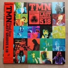 14LDレーザーディスクTMN final live 2枚組
