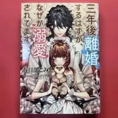 三年後離婚するはずが、なぜか溺愛されてます
