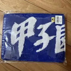 甲子園スタジアム カラータオル