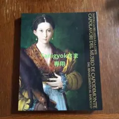 『ナポリ・宮廷と美ーカポディモンテ美術館展』 図録