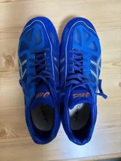 Item thumbnail for item 9825f2ff-99cd-4103-9117-89412c25452e