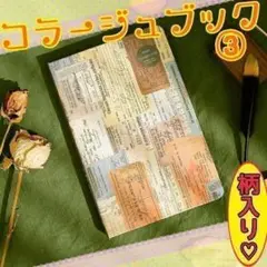 ♥匿名配送♥ コラージュブック③ レトロ コラージュ素材 本 ジャンクジャーナル