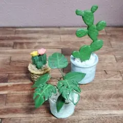 ミニチュア　観葉植物　3点セット